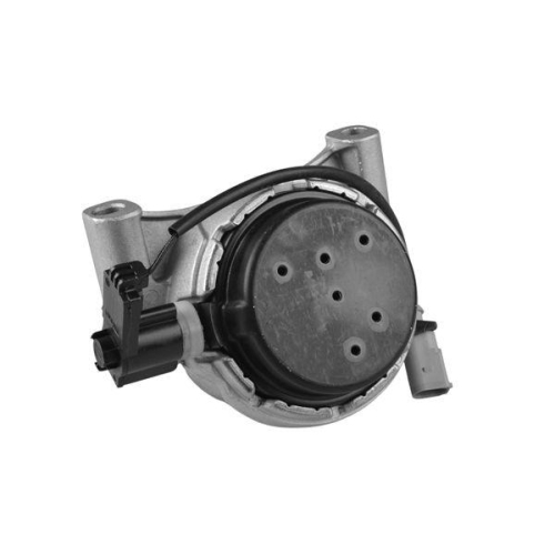 TEDGUM Lagerung, Motor