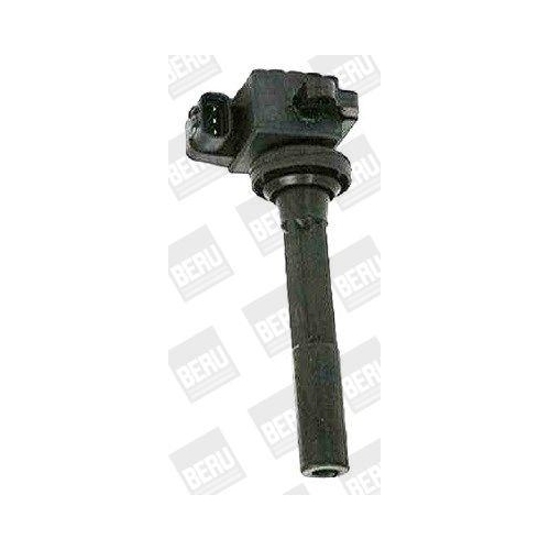 BorgWarner (BERU) Z&uuml;ndspule ZSE160