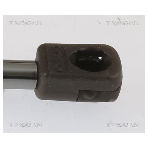 TRISCAN Gasfeder, Koffer-/Laderaum 8710 292068