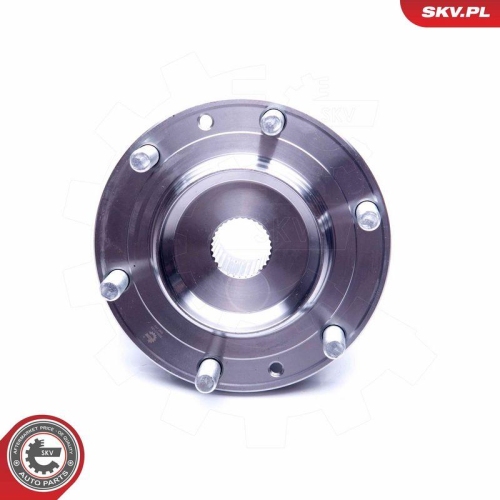 ESEN SKV Radlagersatz 29SKV185