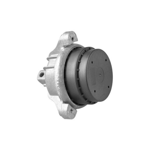 TEDGUM Lagerung, Motor