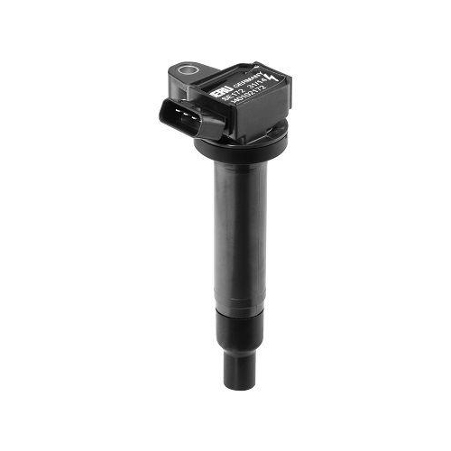 BorgWarner (BERU) Z&uuml;ndspule ZSE172
