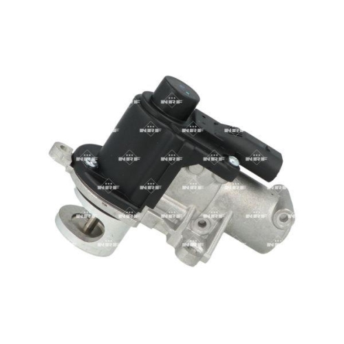 NRF AGR-Ventil 48712