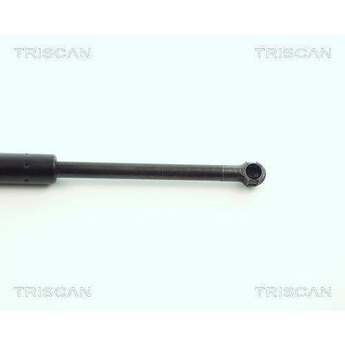 TRISCAN Gasfeder, Koffer-/Laderaum 8710 11207