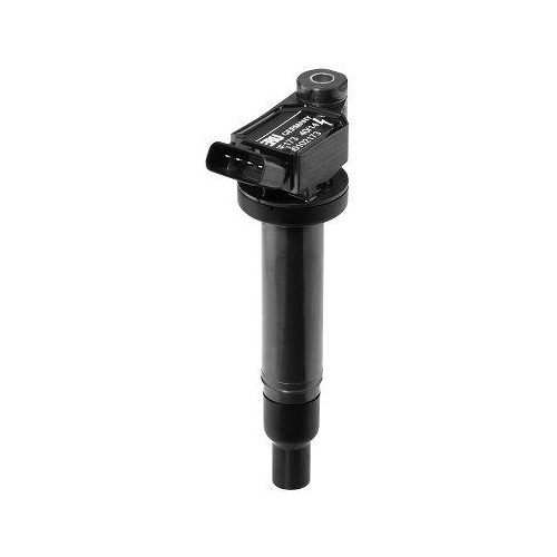 BorgWarner (BERU) Z&uuml;ndspule ZSE173