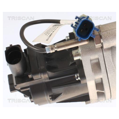 TRISCAN AGR-Ventil 8813 15001