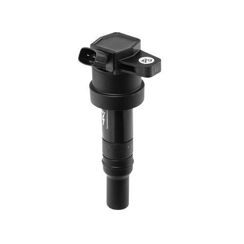 BorgWarner (BERU) Z&uuml;ndspule ZS476