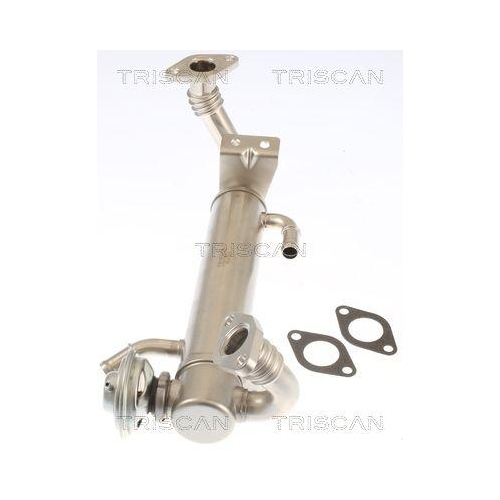 TRISCAN AGR-Ventil 8813 15074