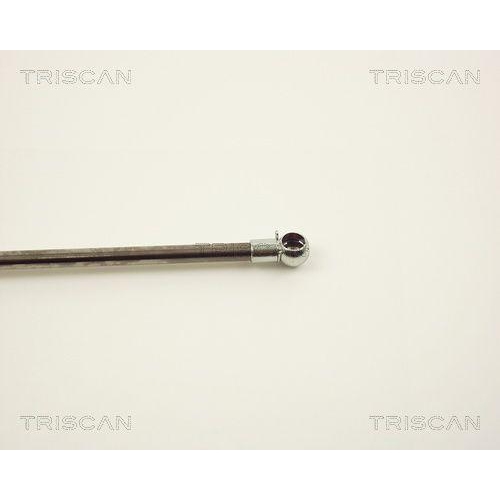 TRISCAN Gasfeder, Koffer-/Laderaum 8710 13241