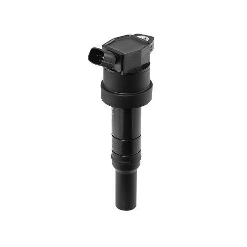 BorgWarner (BERU) Z&uuml;ndspule ZS478