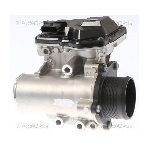 TRISCAN AGR-Ventil 8813 16002