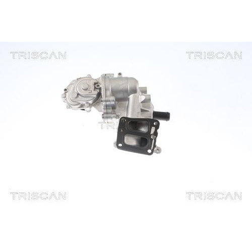TRISCAN AGR-Ventil 8813 16005