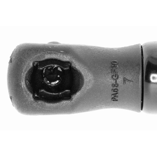 VAICO Gasfeder, Motorhaube Original VAICO Qualit&auml;t V30-2586