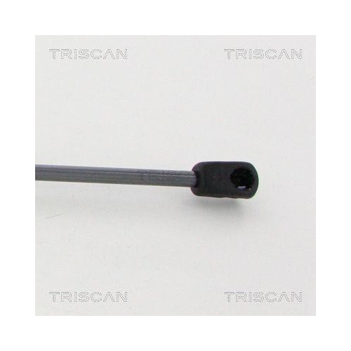 TRISCAN Gasfeder, Motorhaube 8710 16105