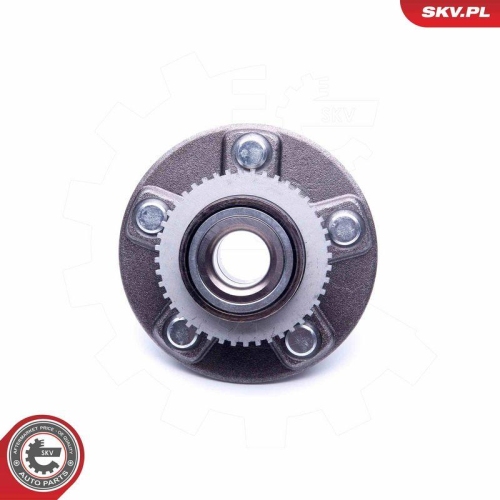ESEN SKV Radlagersatz 29SKV205