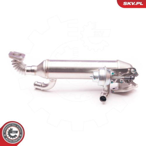 ESEN SKV AGR-Ventil 14SKV119