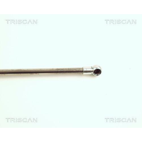 TRISCAN Gasfeder, Koffer-/Laderaum 8710 16217