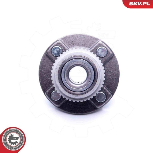 ESEN SKV Radlagersatz 29SKV211