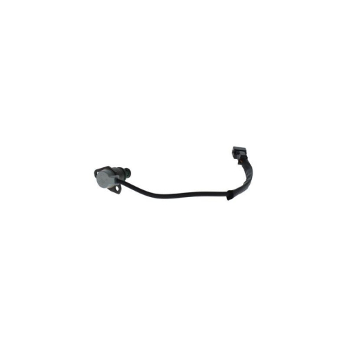 BOSCH Ventil, Einspritzanlage 0 281 002 648