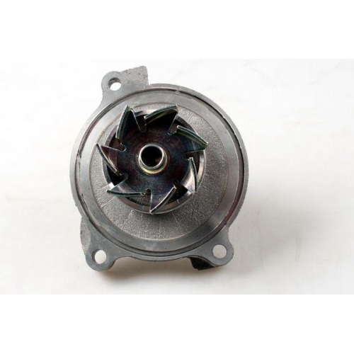 HEPU Wasserpumpe, Motork&uuml;hlung P535