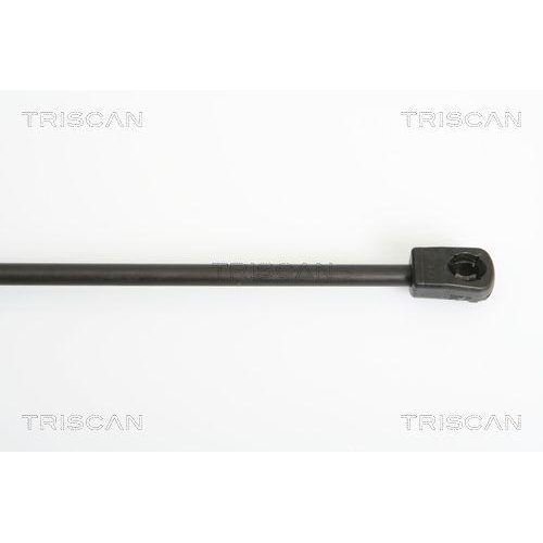 TRISCAN Gasfeder, Koffer-/Laderaum 8710 18219