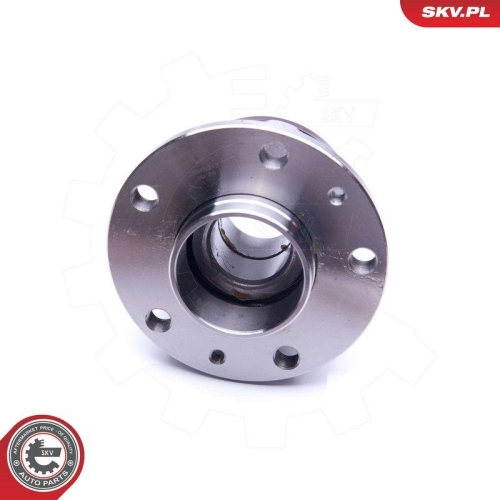 ESEN SKV Radlagersatz 29SKV217