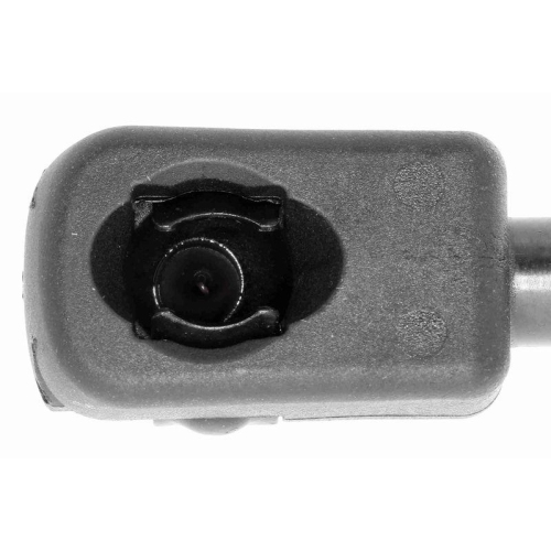 VAICO Gasfeder, Motorhaube Original VAICO Qualit&auml;t V30-2057