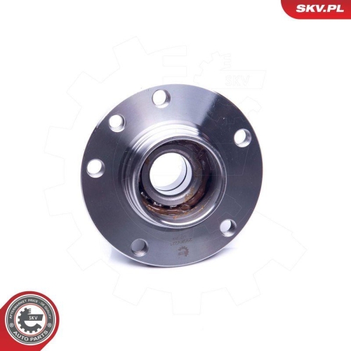 ESEN SKV Radlagersatz 29SKV221