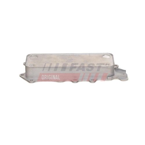 FAST &Ouml;lk&uuml;hler, Motor&ouml;l FT55410