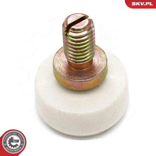 ESEN SKV Rollenf&uuml;hrung, Schiebet&uuml;r 97SKV111