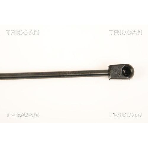 TRISCAN Gasfeder, Koffer-/Laderaum 8710 23217