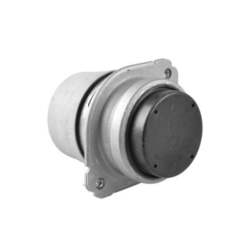 TEDGUM Lagerung, Motor TED25233