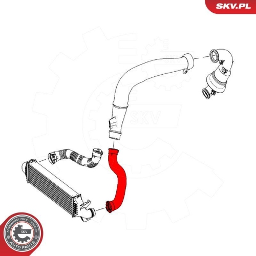 ESEN SKV Ladeluftschlauch 43SKV238