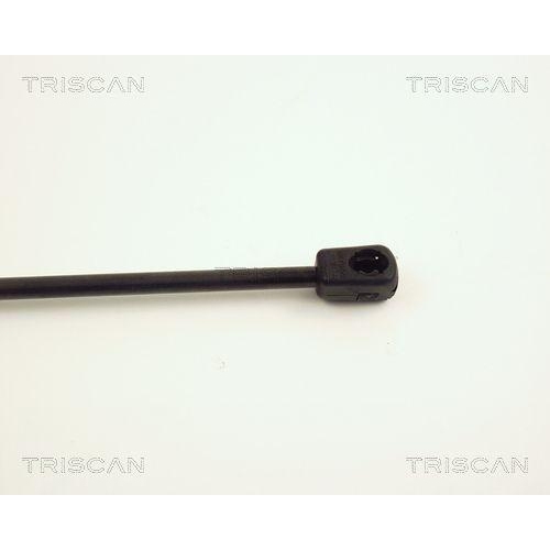 TRISCAN Gasfeder, Koffer-/Laderaum 8710 24225