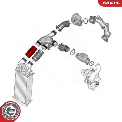 ESEN SKV Ladeluftschlauch 43SKV242