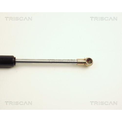 TRISCAN Gasfeder, Motorhaube 8710 25101