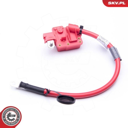 ESEN SKV Batterieadapter 96SKV302