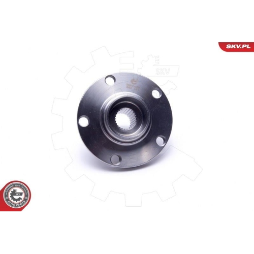 ESEN SKV Radlagersatz