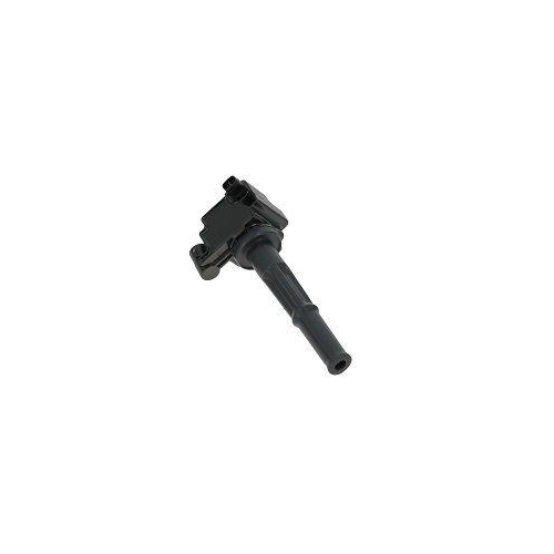 BorgWarner (BERU) Z&uuml;ndspule ZS473