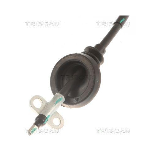 TRISCAN Seilzug, Feststellbremse 8140 141184