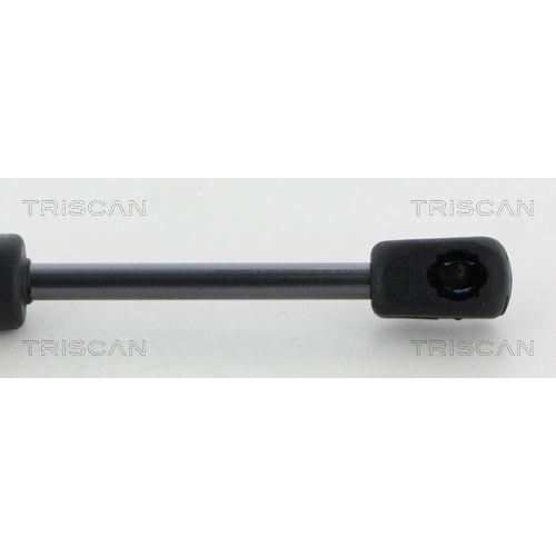TRISCAN Gasfeder, Koffer-/Laderaum 8710 292043