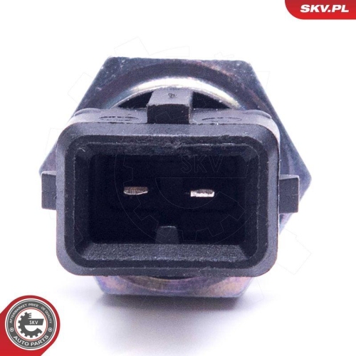 ESEN SKV Sensor, Ansauglufttemperatur 17SKV686
