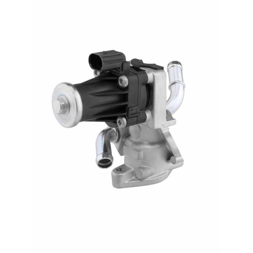 BorgWarner AGR-Ventil 710979D