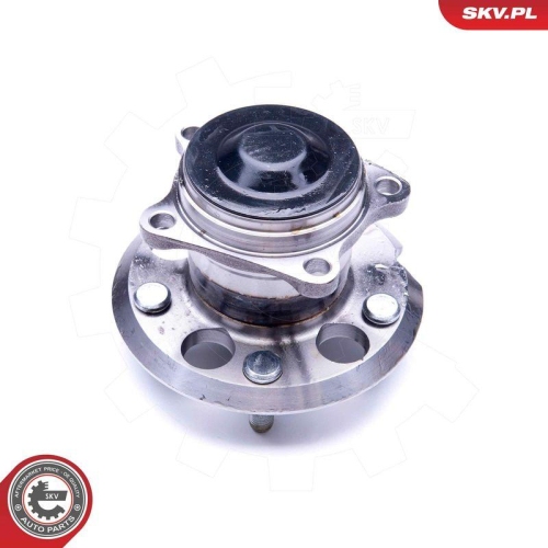 ESEN SKV Radlagersatz 29SKV243