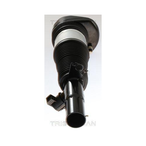 TRISCAN Luftfederbein 8720 11102