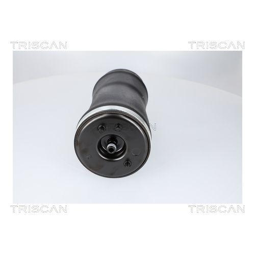 TRISCAN Luftfeder, Fahrwerk 8720 11204