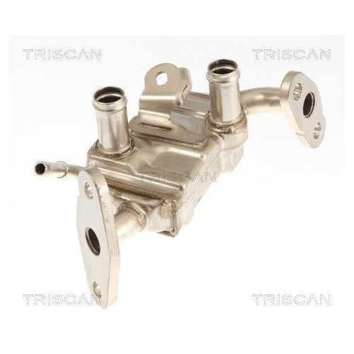TRISCAN K&uuml;hler, Abgasr&uuml;ckf&uuml;hrung 8813 13072