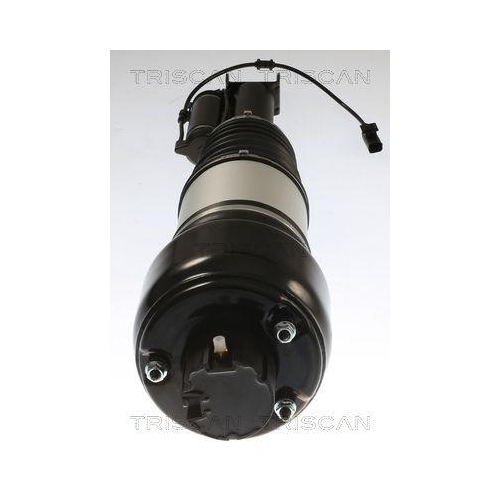 TRISCAN Luftfederbein 8720 23103