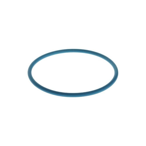 BOSCH Gummiring F 00N 204 925