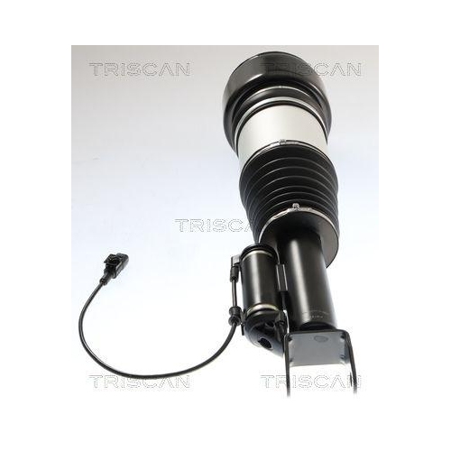 TRISCAN Luftfederbein 8720 23106